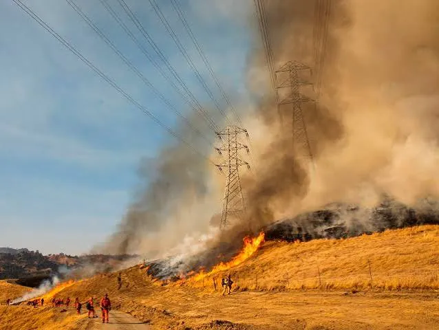 PG&E Shares Plunge 16% After California Lawmakers Reject Wildfire Liability Relief