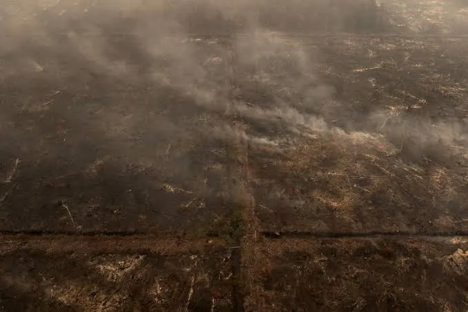 Explication : Quelle est la gravité des incendies de forêt en Indonésie ?