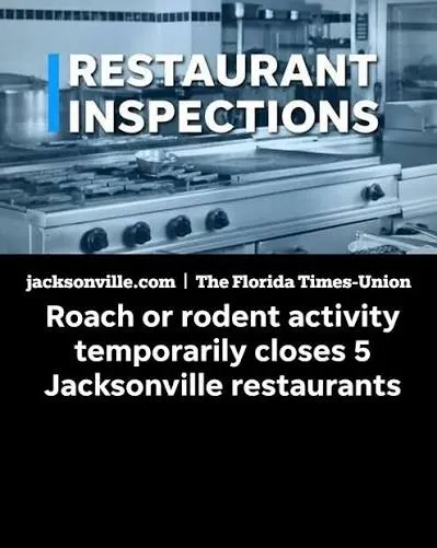 Excréments de rongeurs dans un four parmi les pires inspections de restaurants du sud de la Floride