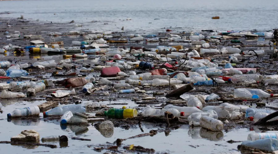 Les rivières inondent les océans de microplastiques