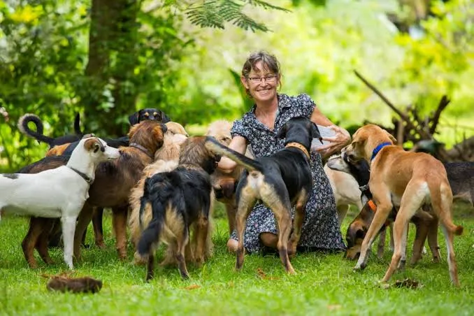 Mon amie gagne 300 000 $ par an avec son entreprise de garde d'animaux. Elle se verse 50 000 $. Devrais-je faire de même ?