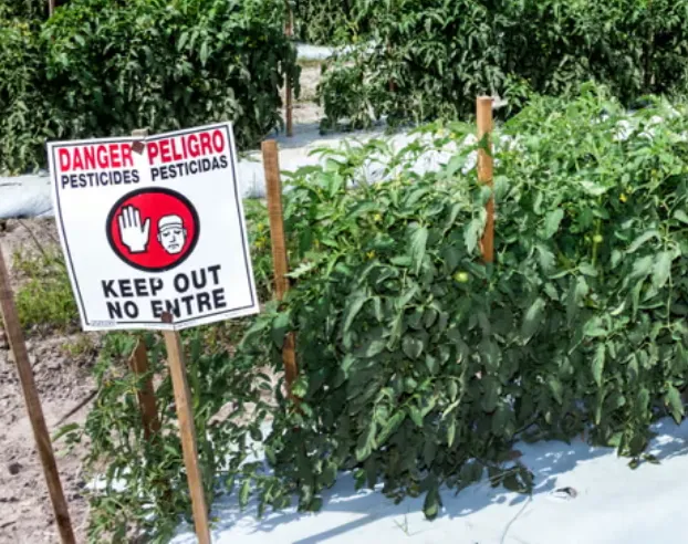 Nouvelle étude alerte les groupes de consommateurs américains car 485 produits chimiques de pesticides liés au cancer du sein ont été trouvés dans les produits américains