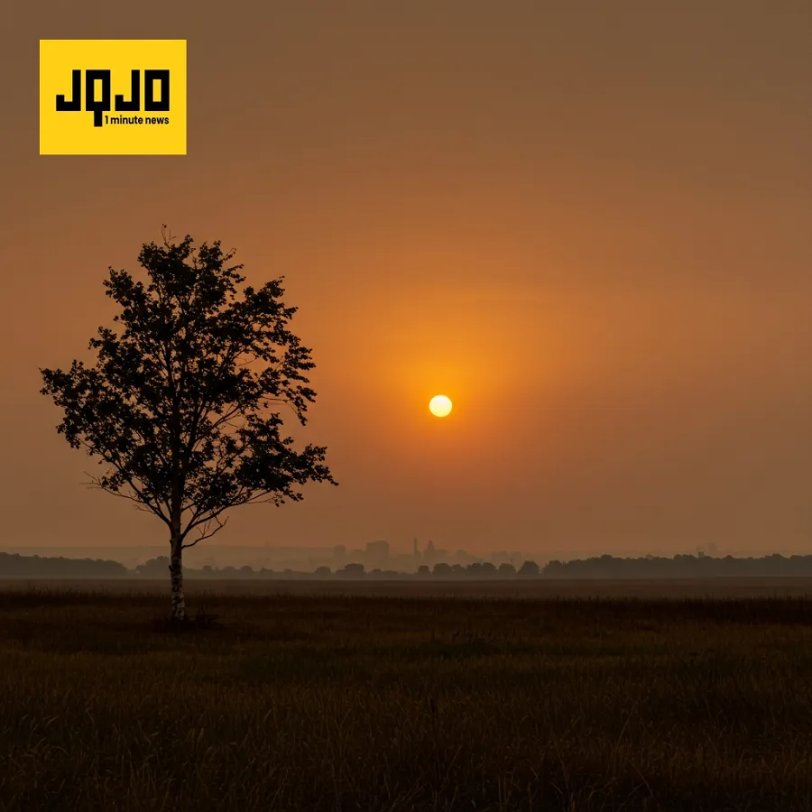 Minnesota Issues Air Quality Alert Due to Canadian Wildfires